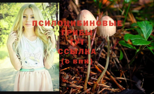гашиш Аркадак